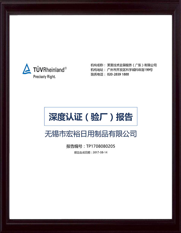 TUV莱茵深度验厂报告